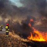 Firefighters battling large brush fire with smoke and flames in open field.
